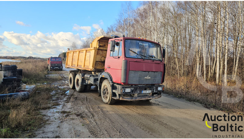 Maz 551669 - Кипер: слика 2 Maz 551669 - Кипер: слика 2