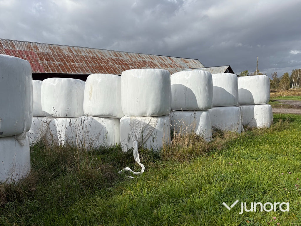 Höensilage 2024 - Опрема за добиток: слика 3 Höensilage 2024 - Опрема за добиток: слика 3