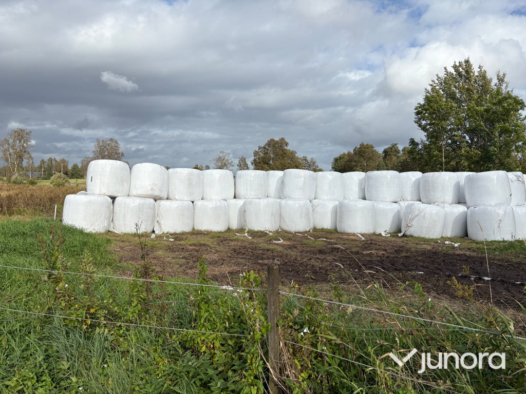 Höensilage 2025 - Превртувачка опрема: слика 5 Höensilage 2025 - Превртувачка опрема: слика 5