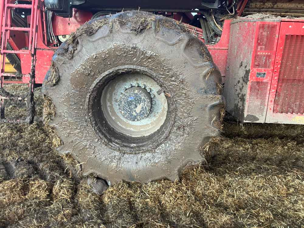 Grimme VARITRON 270 PLATINUM TT - Машина за жнеење: слика 5 Grimme VARITRON 270 PLATINUM TT - Машина за жнеење: слика 5