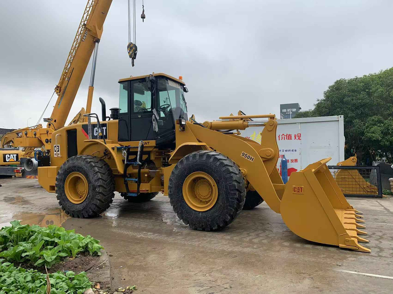Caterpillar Wheel Loader CAT 950H, 950G Secondhand Condition - Натоварувач на тркала: слика 2 Caterpillar Wheel Loader CAT 950H, 950G Secondhand Condition - Натоварувач на тркала: слика 2