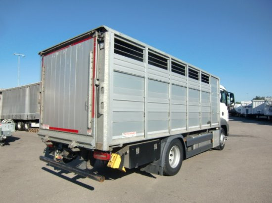 MAN TGS 18.420 Tiertransporter,Euro 6, Manual Seilwinde, el. Ladebordwand Voll Luft - Камион за коњи: слика 4 MAN TGS 18.420 Tiertransporter,Euro 6, Manual Seilwinde, el. Ladebordwand Voll Luft - Камион за коњи: слика 4