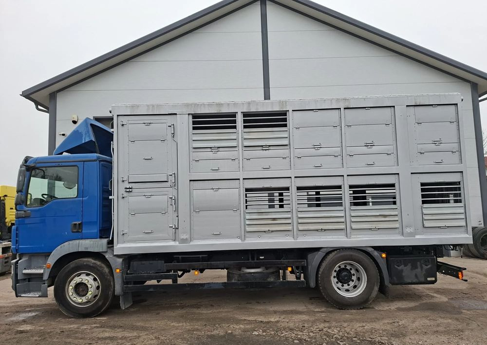 MAN TGM 18.250 4x2 DO ŻYWCA - Камион за добиток: слика 1 MAN TGM 18.250 4x2 DO ŻYWCA - Камион за добиток: слика 1