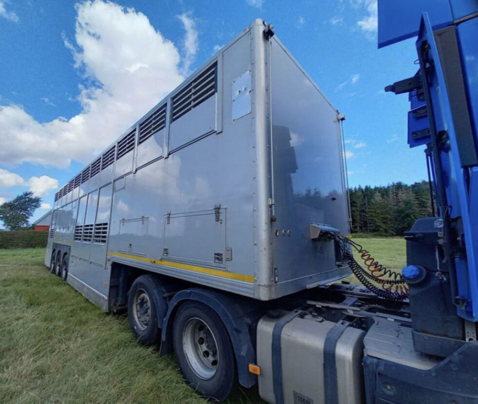 Gray and Adams Gadd3 / Works Great / Hydraulic / 2 Levels - Полуприколка за добиток: слика 4 Gray and Adams Gadd3 / Works Great / Hydraulic / 2 Levels - Полуприколка за добиток: слика 4