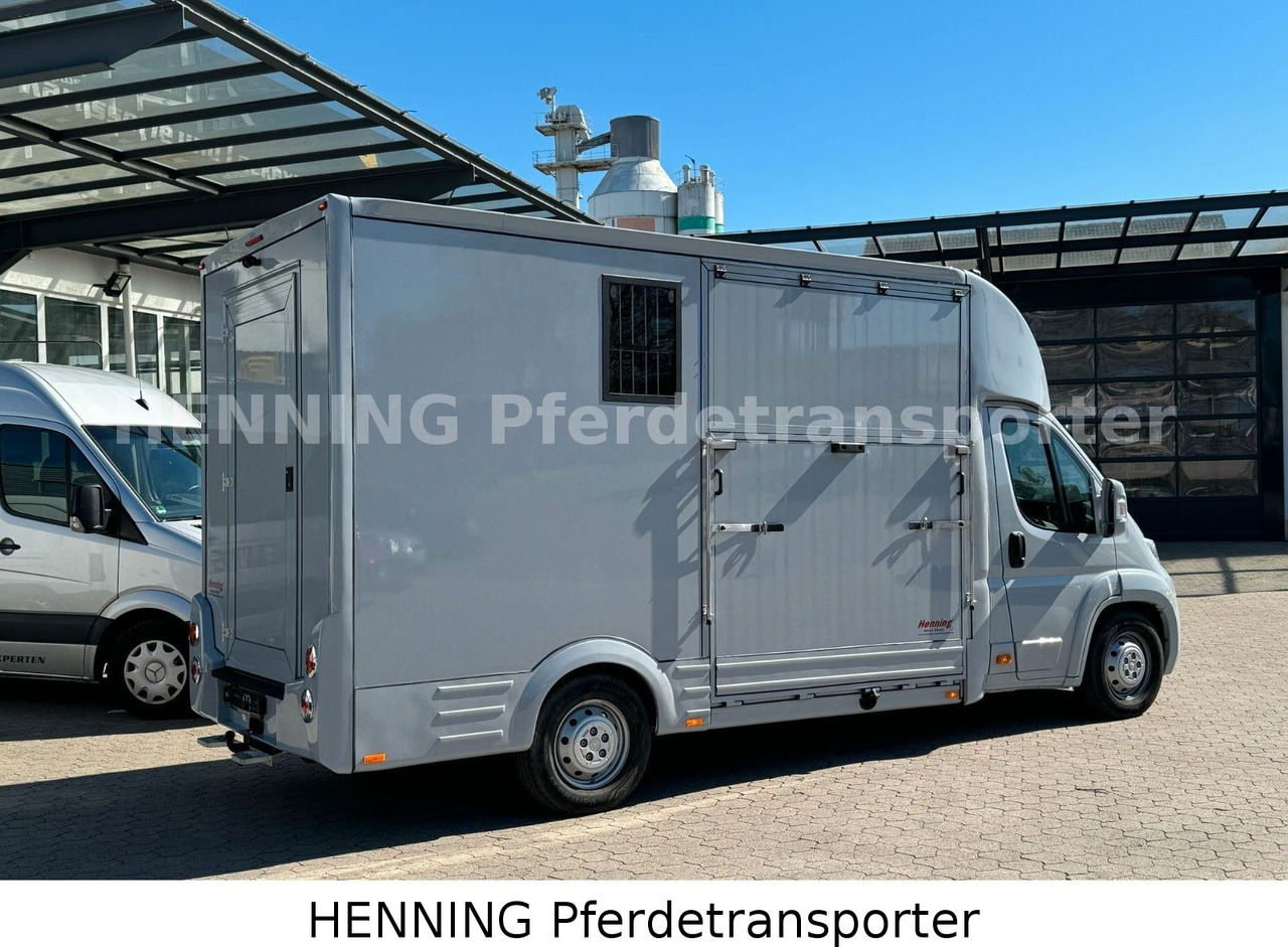 Citroën Jumper 3 - Sitzer - Камион за коњи: слика 3 Citroën Jumper 3 - Sitzer - Камион за коњи: слика 3