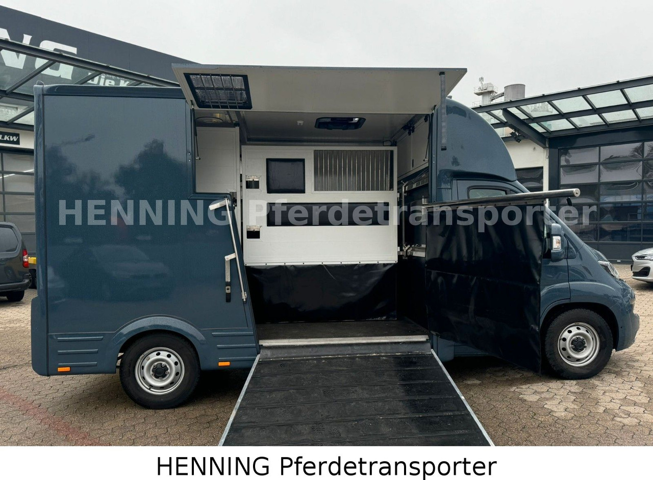 Fiat Ducato *AUTOMATIK* 3 - Sitzer - Камион за добиток: слика 4 Fiat Ducato *AUTOMATIK* 3 - Sitzer - Камион за добиток: слика 4