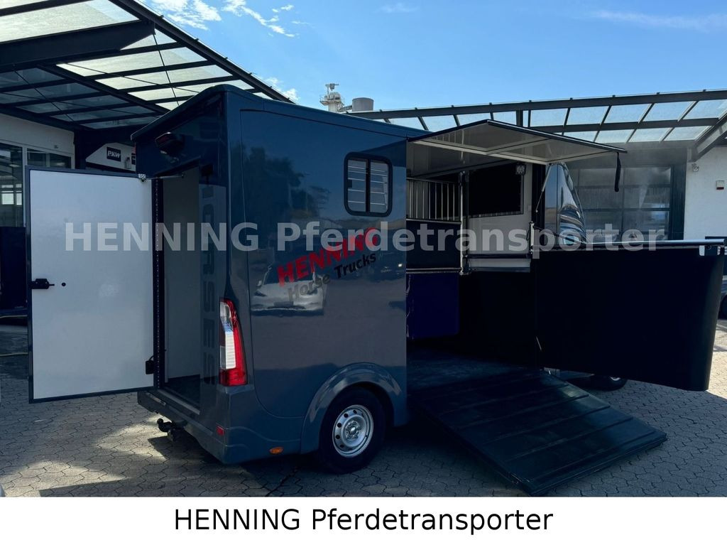 Opel Movano 3 - Sitzer *AUFBAU NEU* Opel Movano 3 - Sitzer *AUFBAU NEU* - Камион за коњи: слика 3 Opel Movano 3 - Sitzer *AUFBAU NEU* Opel Movano 3 - Sitzer *AUFBAU NEU* - Камион за коњи: слика 3