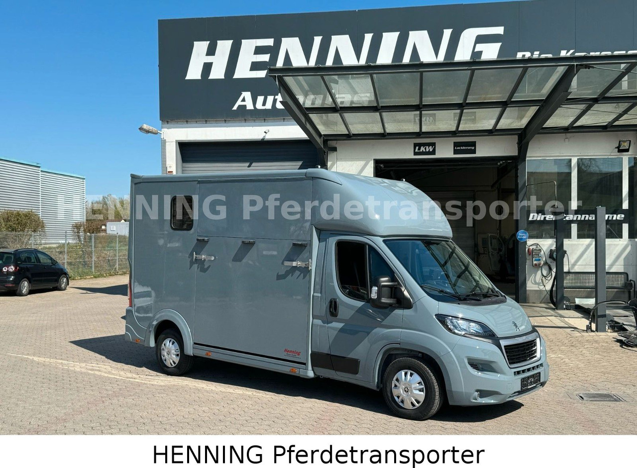 Peugeot Boxer 3-Sitzer *NEUWAGEN* 1000 KG NUTZLAST - Камион за коњи: слика 1 Peugeot Boxer 3-Sitzer *NEUWAGEN* 1000 KG NUTZLAST - Камион за коњи: слика 1