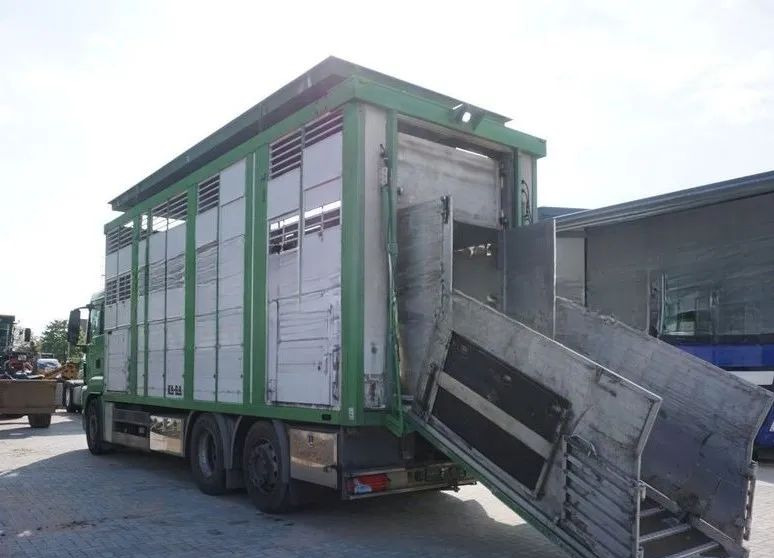 MAN TGS 26.440 ZABUDOWA KABA CAŁA ALUMINIOWA– samochód do transportu zwierząt/koni – 3 pokłady / EURO 5/6X2/PODNOSZONY DACH - Камион за добиток: слика 4 MAN TGS 26.440 ZABUDOWA KABA CAŁA ALUMINIOWA– samochód do transportu zwierząt/koni – 3 pokłady / EURO 5/6X2/PODNOSZONY DACH - Камион за добиток: слика 4