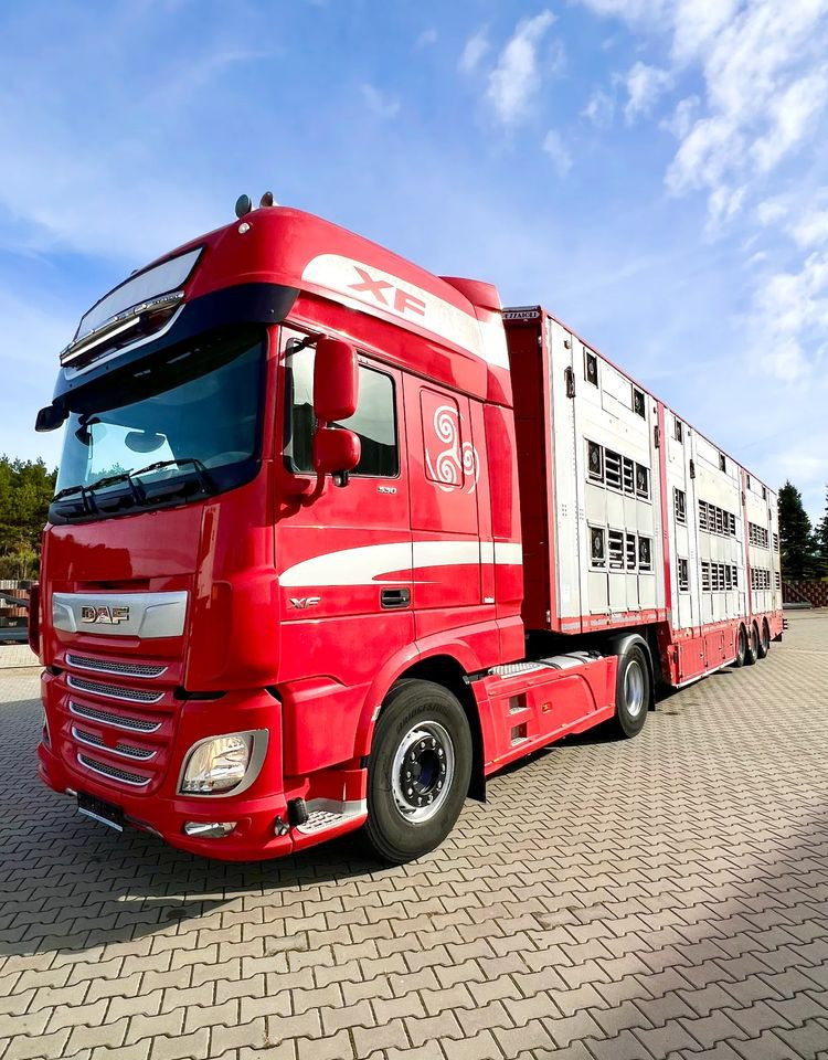 Pezzaioli NACZEPA 2017 / 3 POZIOMY / TRANSPORT ZWIERZĄT / HYDRAULIKA / STEROWANIE PILOTEM/ PODNOSZONY DACH / - Полуприколка за добиток: слика 5 Pezzaioli NACZEPA 2017 / 3 POZIOMY / TRANSPORT ZWIERZĄT / HYDRAULIKA / STEROWANIE PILOTEM/ PODNOSZONY DACH / - Полуприколка за добиток: слика 5