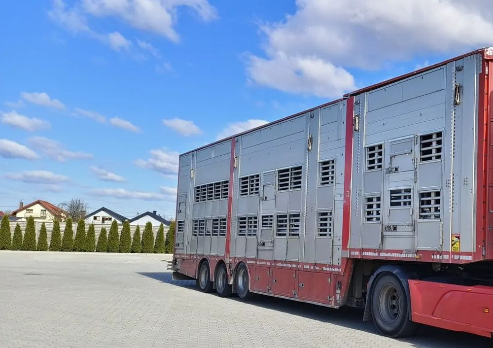 Pezzaioli SBA32/hydrauliczny dach/hydrauliczna rampa/ 3 poziomy/ 2xbydło -3xtrzoda/wentylatory/poidła/sterowanie pilotem - Полуприколка за добиток: слика 1 Pezzaioli SBA32/hydrauliczny dach/hydrauliczna rampa/ 3 poziomy/ 2xbydło -3xtrzoda/wentylatory/poidła/sterowanie pilotem - Полуприколка за добиток: слика 1