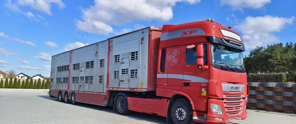Pezzaioli SBA32/hydrauliczny dach/hydrauliczna rampa/ 3 poziomy/ 2xbydło -3xtrzoda/wentylatory/poidła/sterowanie pilotem - Полуприколка за добиток: слика 1 Pezzaioli SBA32/hydrauliczny dach/hydrauliczna rampa/ 3 poziomy/ 2xbydło -3xtrzoda/wentylatory/poidła/sterowanie pilotem - Полуприколка за добиток: слика 1