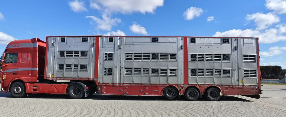 Pezzaioli SBA32/hydrauliczny dach/hydrauliczna rampa/ 3 poziomy/ 2xbydło -3xtrzoda/wentylatory/poidła/sterowanie pilotem - Полуприколка за добиток: слика 3 Pezzaioli SBA32/hydrauliczny dach/hydrauliczna rampa/ 3 poziomy/ 2xbydło -3xtrzoda/wentylatory/poidła/sterowanie pilotem - Полуприколка за добиток: слика 3