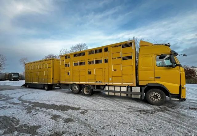Volvo FH 420 • KABA • Transport Zwierząt 3xŚwinie/ 2xBydło 3-piętrowy • Euro 5 • Retarder • Oś podnoszona i skrętna - Камион за добиток: слика 3 Volvo FH 420 • KABA • Transport Zwierząt 3xŚwinie/ 2xBydło 3-piętrowy • Euro 5 • Retarder • Oś podnoszona i skrętna - Камион за добиток: слика 3