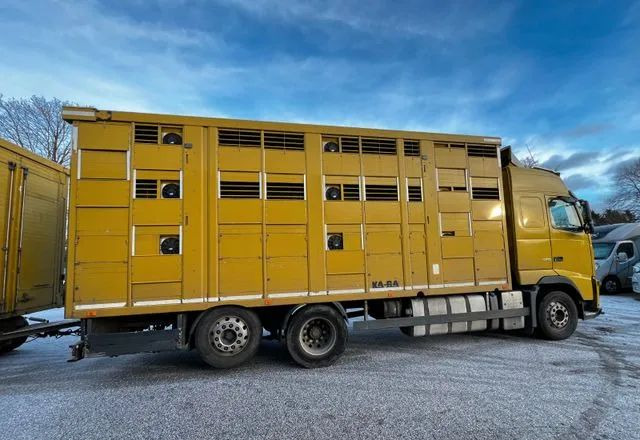 Volvo FH 420 • KABA • Transport Zwierząt 3xŚwinie/ 2xBydło 3-piętrowy • Euro 5 • Retarder • Oś podnoszona i skrętna - Камион за добиток: слика 2 Volvo FH 420 • KABA • Transport Zwierząt 3xŚwinie/ 2xBydło 3-piętrowy • Euro 5 • Retarder • Oś podnoszona i skrętna - Камион за добиток: слика 2