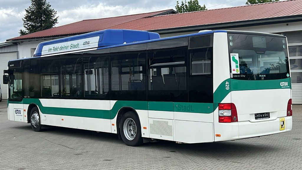 MAN A 21 CNG Euro 5 EEV MAN A 21 CNG Euro 5 EEV - Градски автобус: слика 5 MAN A 21 CNG Euro 5 EEV MAN A 21 CNG Euro 5 EEV - Градски автобус: слика 5