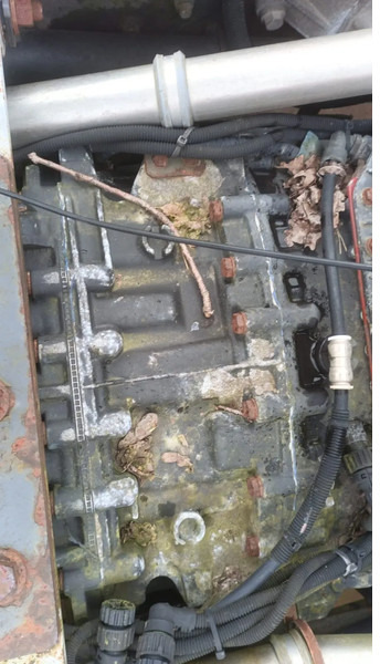 Renault Premium 420 Dci Engine + Automatic Gearbox - Мотор за Камион: слика 5 Renault Premium 420 Dci Engine + Automatic Gearbox - Мотор за Камион: слика 5