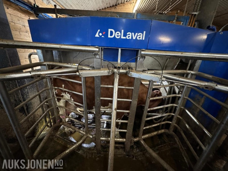 2013 DeLaval VMS melkerobot med 1 kraftfôrstasjon FSC40 - Høyre utgave - Steam - Innredning og grinder foran - Vakuumpumpe - Fortsatt i daglig drift - Земјоделска машина: слика 5 2013 DeLaval VMS melkerobot med 1 kraftfôrstasjon FSC40 - Høyre utgave - Steam - Innredning og grinder foran - Vakuumpumpe - Fortsatt i daglig drift - Земјоделска машина: слика 5