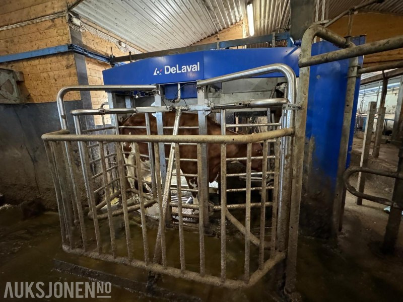 2013 DeLaval VMS melkerobot med 1 kraftfôrstasjon FSC40 - Høyre utgave - Steam - Innredning og grinder foran - Vakuumpumpe - Fortsatt i daglig drift - Земјоделска машина: слика 4 2013 DeLaval VMS melkerobot med 1 kraftfôrstasjon FSC40 - Høyre utgave - Steam - Innredning og grinder foran - Vakuumpumpe - Fortsatt i daglig drift - Земјоделска машина: слика 4