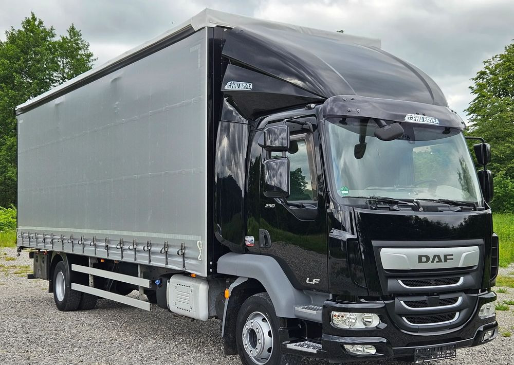 DAF LF 290/WINDA/16TON DMC/FIRANKA/AUTOMAT/16TON DMC/JEDEN WŁAŚCICIE/EURO 6/2019/SPROWADZONY/20PALET/NISKI PRZEBIEG/DUŻA ŁADOWNOŚĆ/JAK NOWY - Камион со церада: слика 2 DAF LF 290/WINDA/16TON DMC/FIRANKA/AUTOMAT/16TON DMC/JEDEN WŁAŚCICIE/EURO 6/2019/SPROWADZONY/20PALET/NISKI PRZEBIEG/DUŻA ŁADOWNOŚĆ/JAK NOWY - Камион со церада: слика 2
