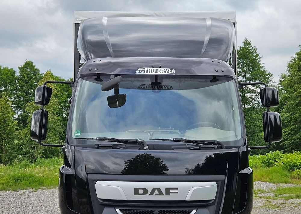 DAF LF 290/WINDA/16TON DMC/FIRANKA/AUTOMAT/16TON DMC/JEDEN WŁAŚCICIE/EURO 6/2019/SPROWADZONY/20PALET/NISKI PRZEBIEG/DUŻA ŁADOWNOŚĆ/JAK NOWY - Камион со церада: слика 5 DAF LF 290/WINDA/16TON DMC/FIRANKA/AUTOMAT/16TON DMC/JEDEN WŁAŚCICIE/EURO 6/2019/SPROWADZONY/20PALET/NISKI PRZEBIEG/DUŻA ŁADOWNOŚĆ/JAK NOWY - Камион со церада: слика 5