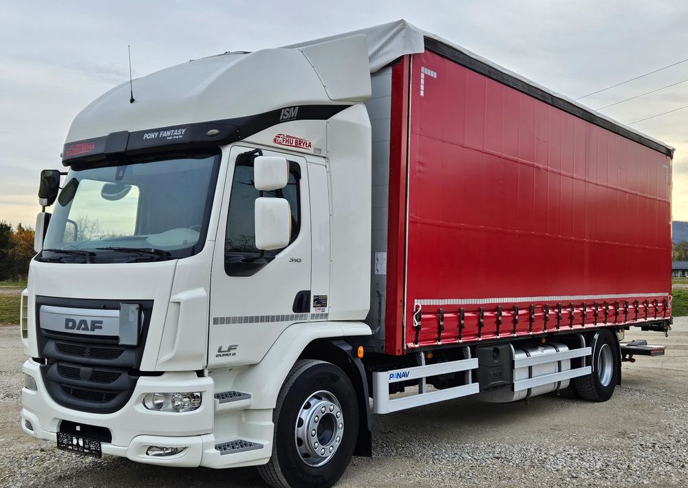 DAF LF 310/WINDA/FIRANKA/NOWE TURBO/NOWE SPRZĘGŁO/EURO 6/SPROWADZONY/20PALET/ŁADOWNOSC 10TON - Камион со церада: слика 2 DAF LF 310/WINDA/FIRANKA/NOWE TURBO/NOWE SPRZĘGŁO/EURO 6/SPROWADZONY/20PALET/ŁADOWNOSC 10TON - Камион со церада: слика 2