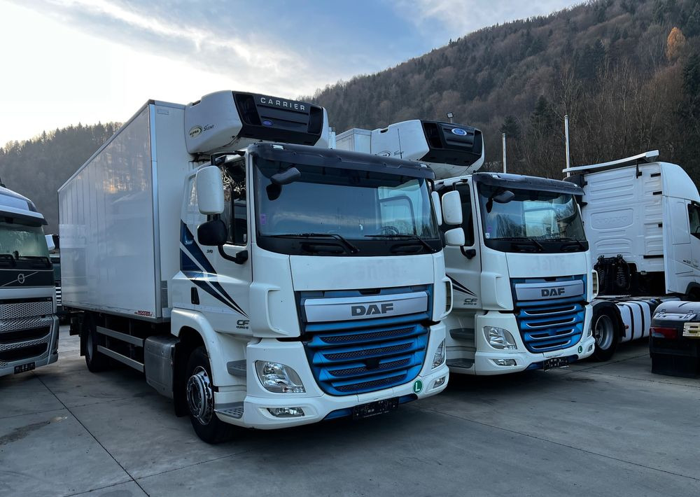 DAF CF370 // Chłodnia Carrier Supra 850 // Sypialka // 2017 Rok // ACC // - Камион ладилник: слика 3 DAF CF370 // Chłodnia Carrier Supra 850 // Sypialka // 2017 Rok // ACC // - Камион ладилник: слика 3