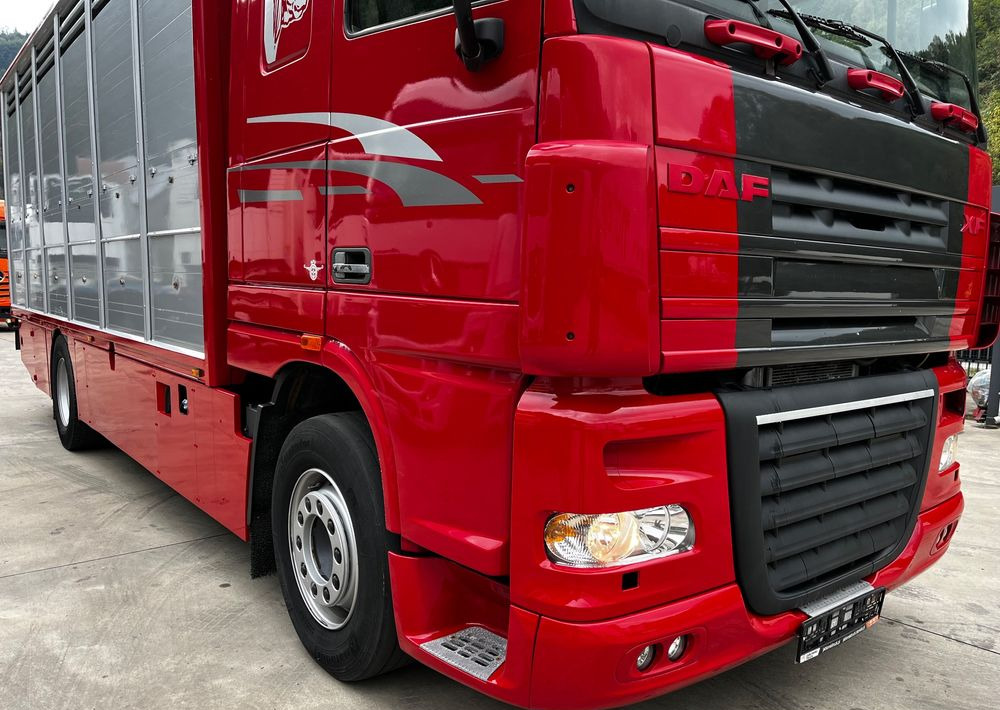 DAF XF 105.460 Euro 5 // Manual // Retarder // Do Żywca / Bydła / Zwierząt / - Камион за добиток: слика 3 DAF XF 105.460 Euro 5 // Manual // Retarder // Do Żywca / Bydła / Zwierząt / - Камион за добиток: слика 3