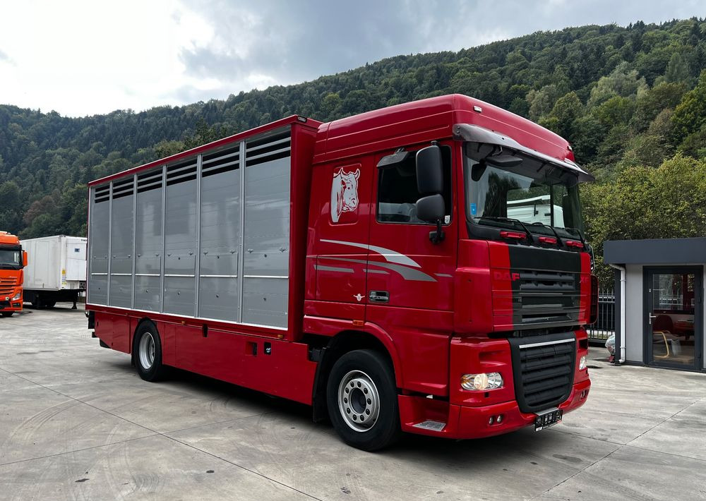 DAF XF 105.460 Euro 5 // Manual // Retarder // Do Żywca / Bydła / Zwierząt / - Камион за добиток: слика 2 DAF XF 105.460 Euro 5 // Manual // Retarder // Do Żywca / Bydła / Zwierząt / - Камион за добиток: слика 2