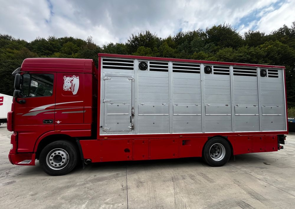 DAF XF 105.460 Euro 5 // Manual // Retarder // Do Żywca / Bydła / Zwierząt / - Камион за добиток: слика 5 DAF XF 105.460 Euro 5 // Manual // Retarder // Do Żywca / Bydła / Zwierząt / - Камион за добиток: слика 5