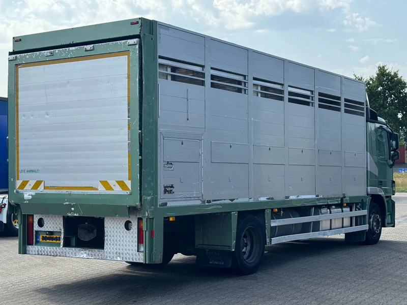 Mercedes-Benz Actros 1832 L 1 - 2 Stock Animal Transport - Камион за добиток: слика 3 Mercedes-Benz Actros 1832 L 1 - 2 Stock Animal Transport - Камион за добиток: слика 3