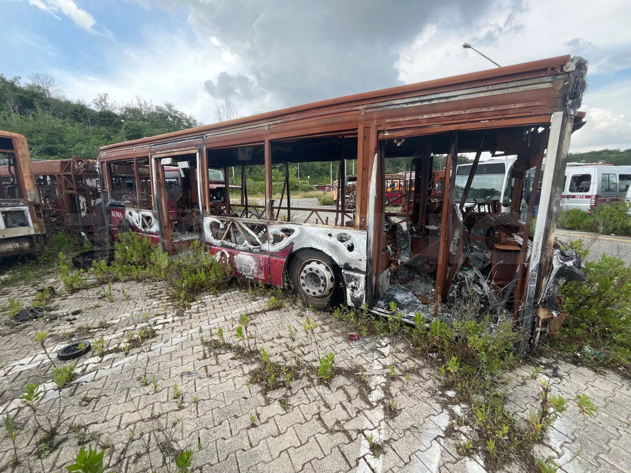 Bundle di 7 mezzi Iveco - Citelis Iveco - Citelis Iveco - Citelis Iveco - Citelis Iveco - Citelis Iveco - Citelis Iveco - Citelis - Градски автобус: слика 3 Bundle di 7 mezzi Iveco - Citelis Iveco - Citelis Iveco - Citelis Iveco - Citelis Iveco - Citelis Iveco - Citelis Iveco - Citelis - Градски автобус: слика 3