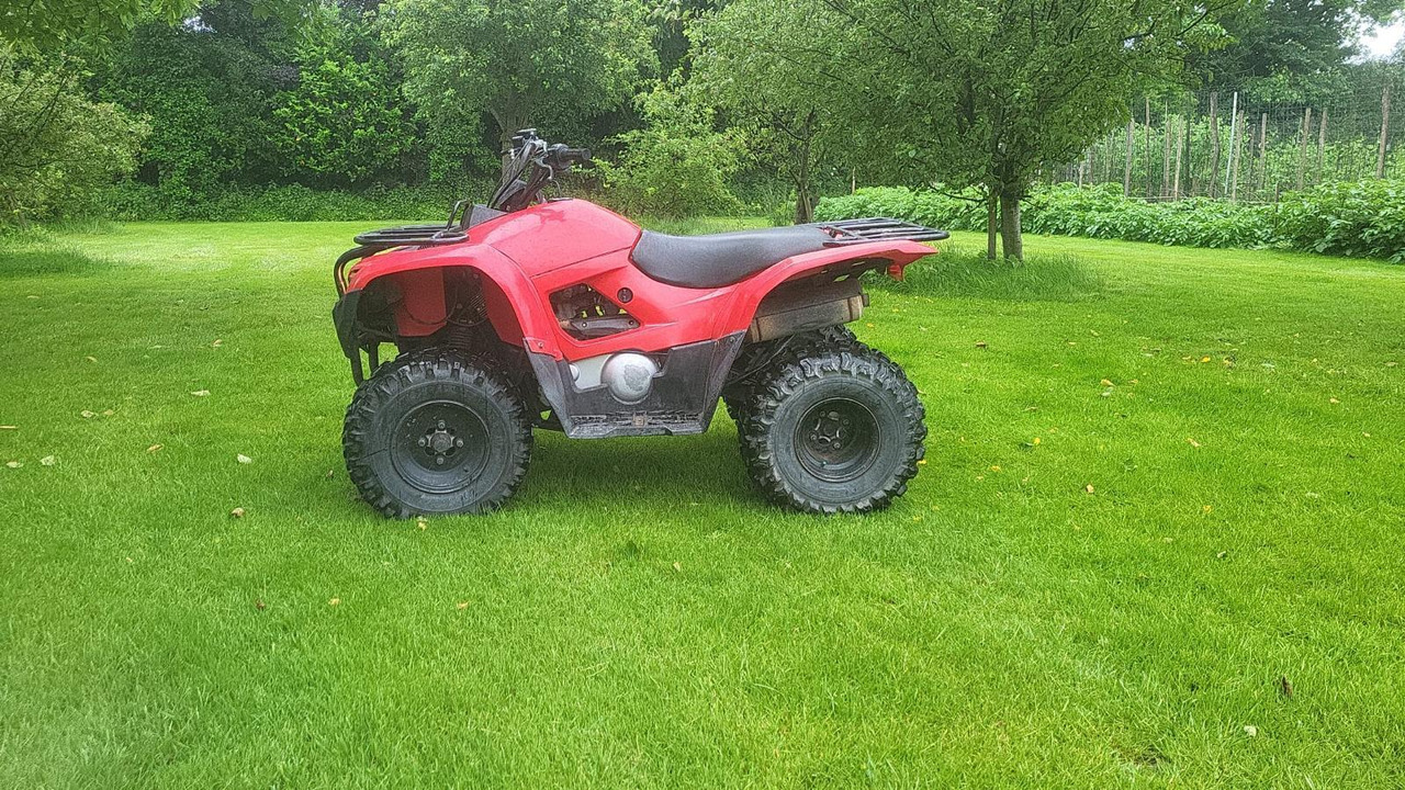 Yamaha Grizzly 300 - Сетеренско возило/ Квад: слика 2 Yamaha Grizzly 300 - Сетеренско возило/ Квад: слика 2
