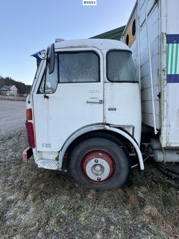1971 Volvo F85 Livestock Transporter - Камион за добиток: слика 3 1971 Volvo F85 Livestock Transporter - Камион за добиток: слика 3