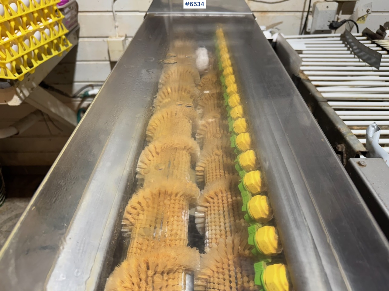 2021 Mach-C Offline S Egg Washer. - Опрема за добиток: слика 4 2021 Mach-C Offline S Egg Washer. - Опрема за добиток: слика 4