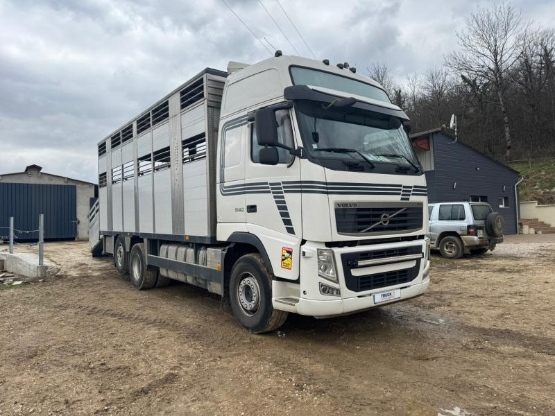 Volvo FH 540 - Камион за добиток: слика 4 Volvo FH 540 - Камион за добиток: слика 4