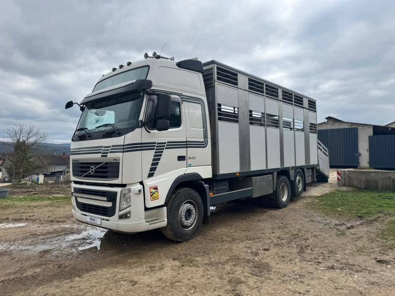 Volvo FH 540 - Камион за добиток: слика 3 Volvo FH 540 - Камион за добиток: слика 3