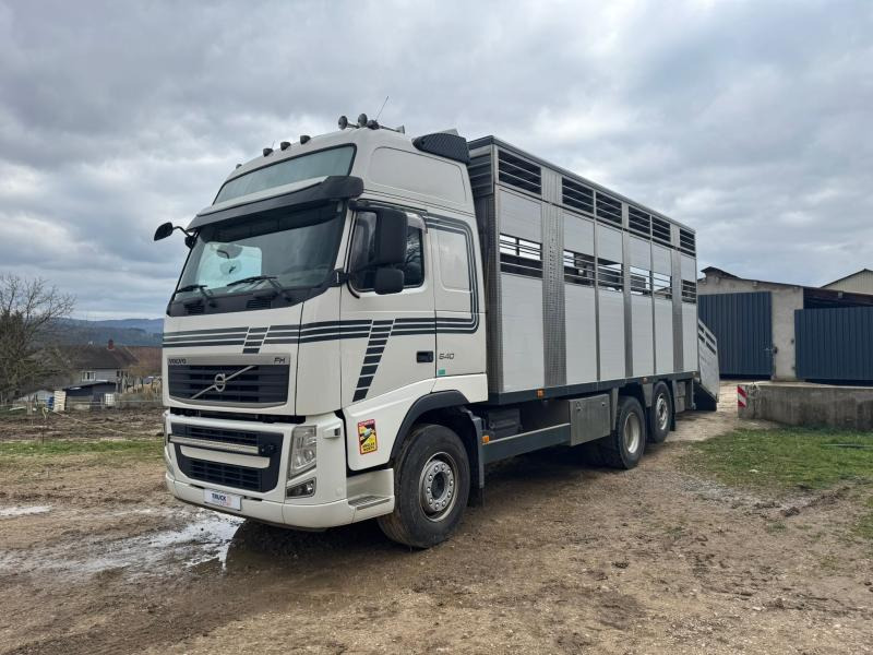 Volvo FH 540 - Камион за добиток: слика 1 Volvo FH 540 - Камион за добиток: слика 1