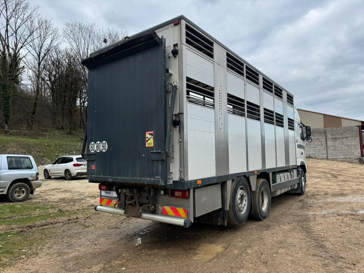 Volvo FH 540 - Камион за добиток: слика 5 Volvo FH 540 - Камион за добиток: слика 5