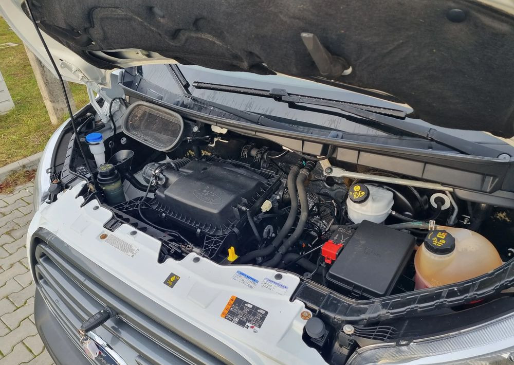 Мало комбе Ford Transit: слика 26