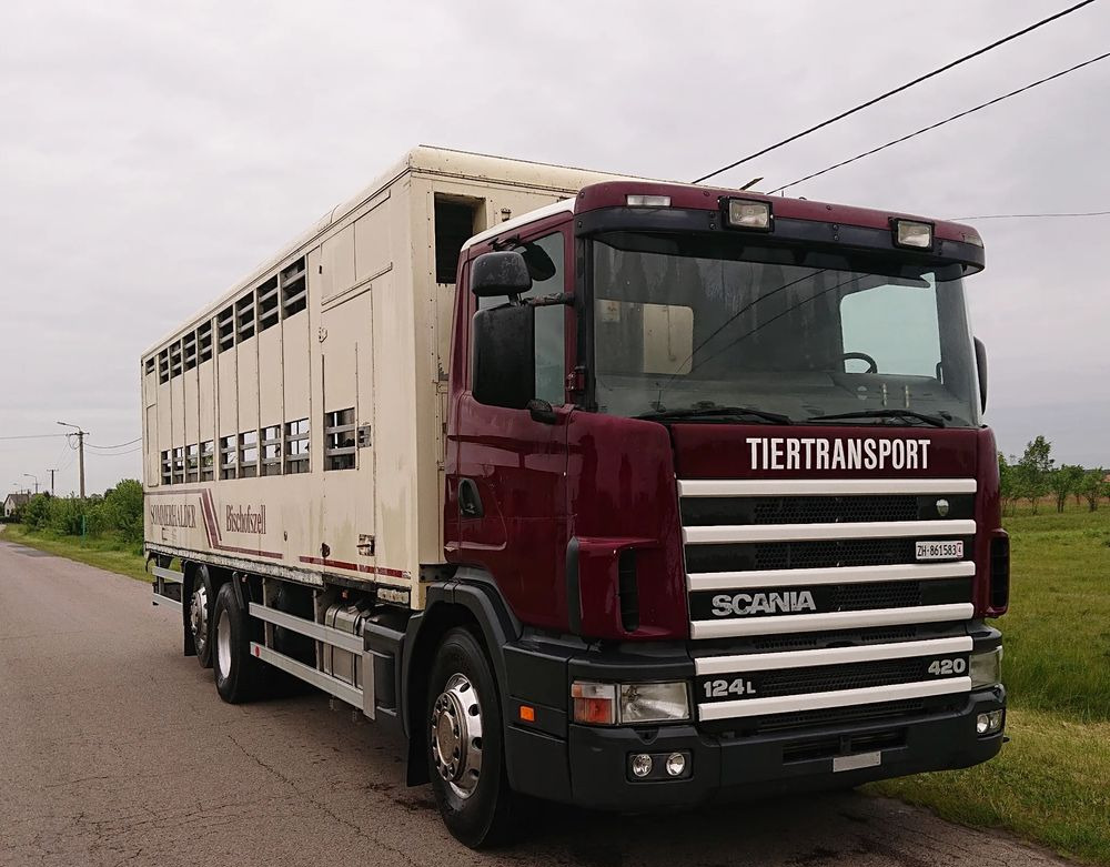 Scania 124 420 Do żywca - Камион за добиток: слика 3 Scania 124 420 Do żywca - Камион за добиток: слика 3