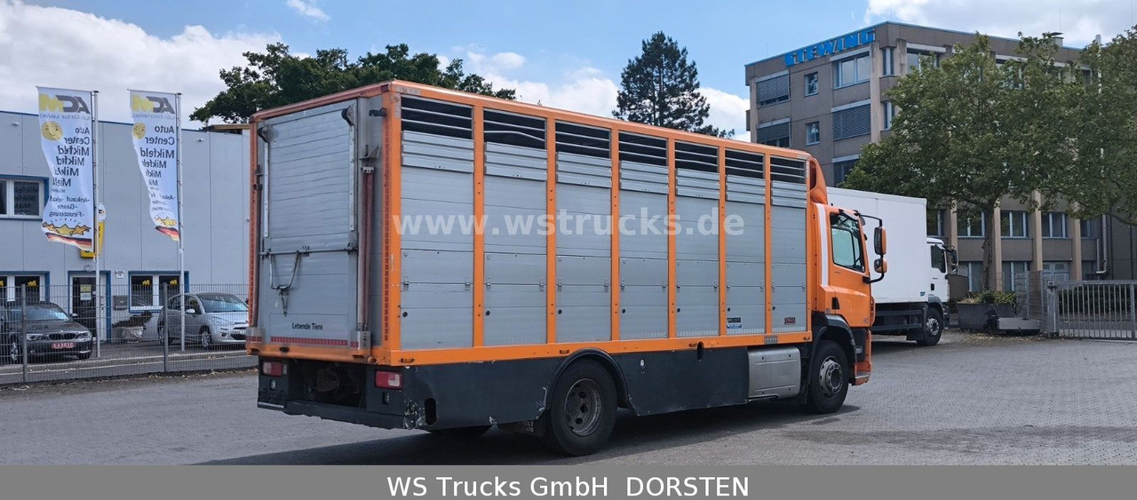DAF CF 400 Menke Einstock Viehtransporter - Камион за коњи: слика 5 DAF CF 400 Menke Einstock Viehtransporter - Камион за коњи: слика 5