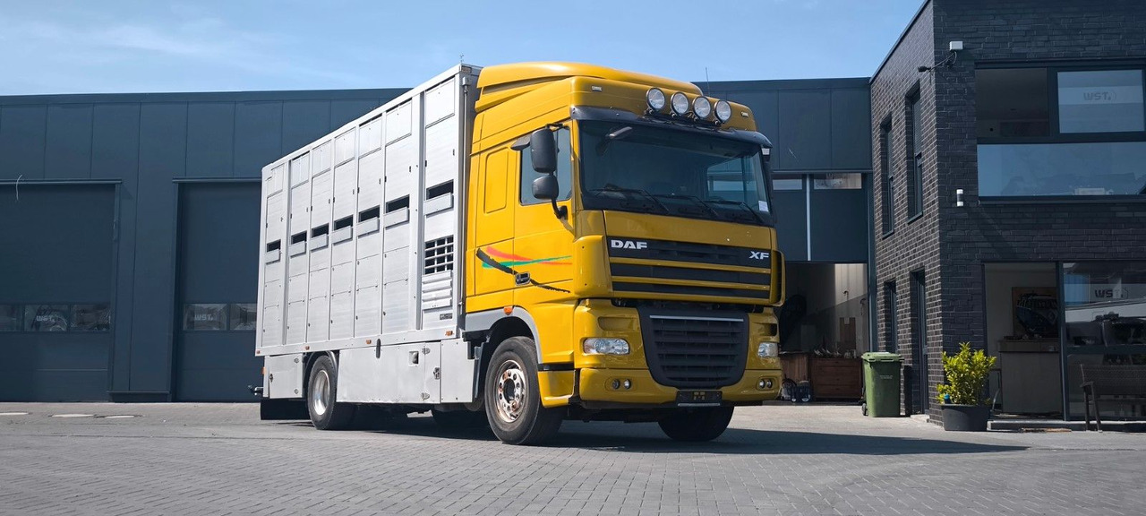 DAF XF 410 SC Menke Doppelstock - Камион за коњи: слика 4 DAF XF 410 SC Menke Doppelstock - Камион за коњи: слика 4