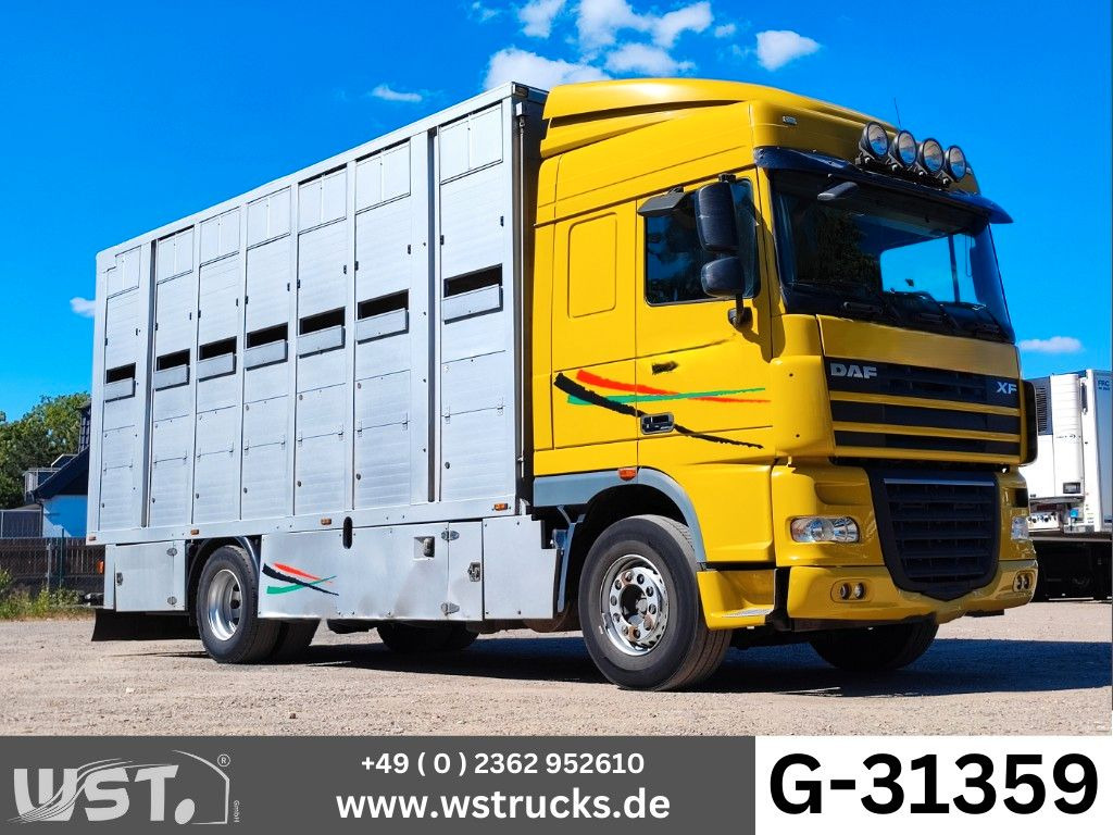 DAF XF 410 SC Menke Doppelstock - Камион за коњи: слика 1 DAF XF 410 SC Menke Doppelstock - Камион за коњи: слика 1