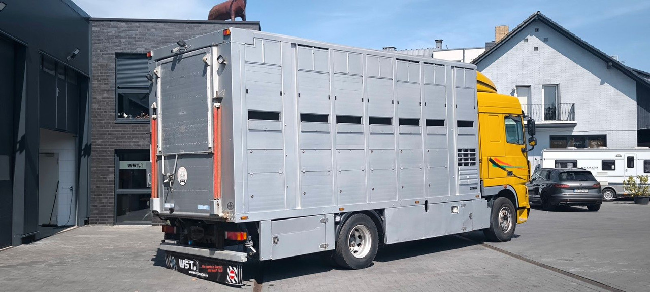 DAF XF 410 SC Menke Doppelstock - Камион за коњи: слика 3 DAF XF 410 SC Menke Doppelstock - Камион за коњи: слика 3