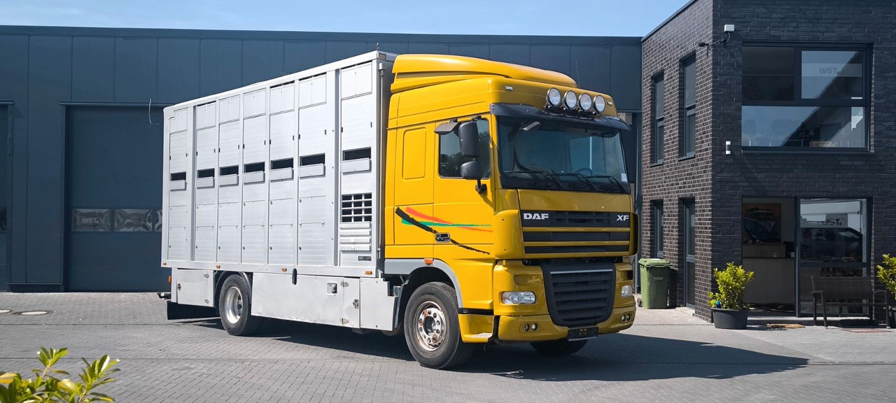 DAF XF 410 SC Menke Doppelstock - Камион за коњи: слика 2 DAF XF 410 SC Menke Doppelstock - Камион за коњи: слика 2