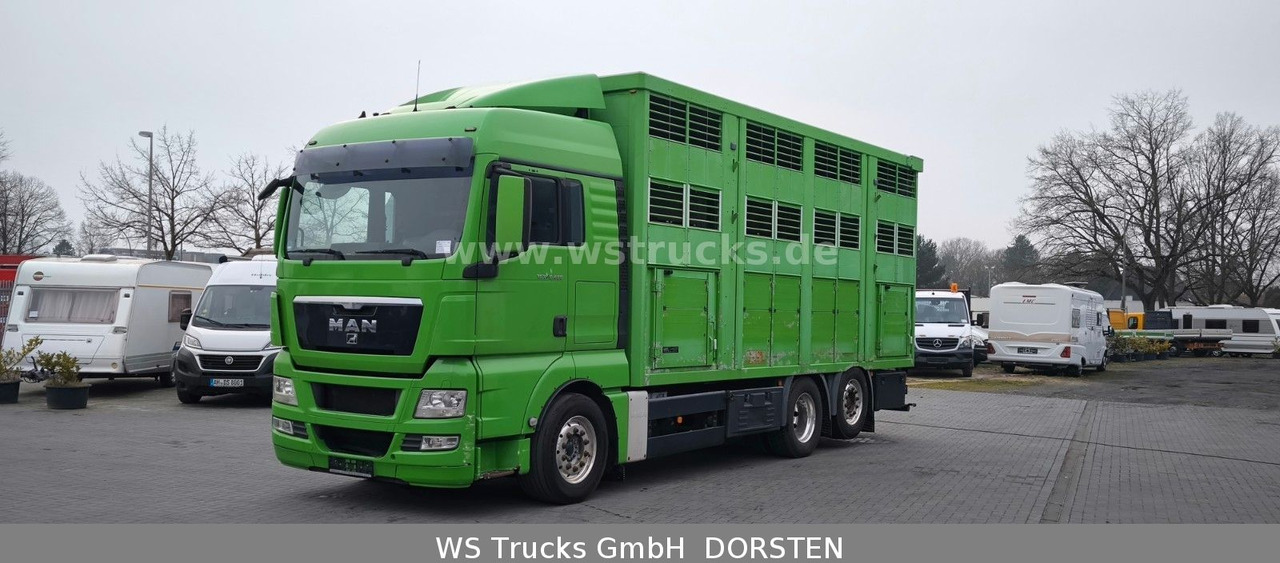 MAN TGX 26.480 XL KABA 3 Stock Vollalu - Камион за добиток: слика 2 MAN TGX 26.480 XL KABA 3 Stock Vollalu - Камион за добиток: слика 2