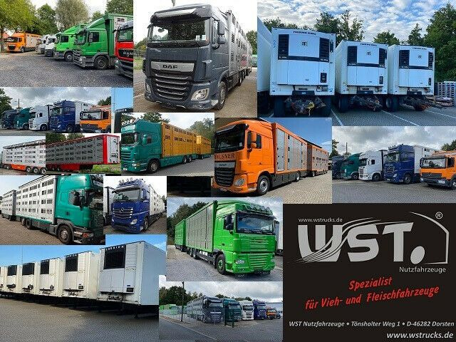 Комби кипер, Комби со двојна кабина Mitsubishi Canter-DREISEITENKIPPER-DoKa-7.SITZER-EURO6: слика 24 Комби кипер, Комби со двојна кабина Mitsubishi Canter-DREISEITENKIPPER-DoKa-7.SITZER-EURO6: слика 24