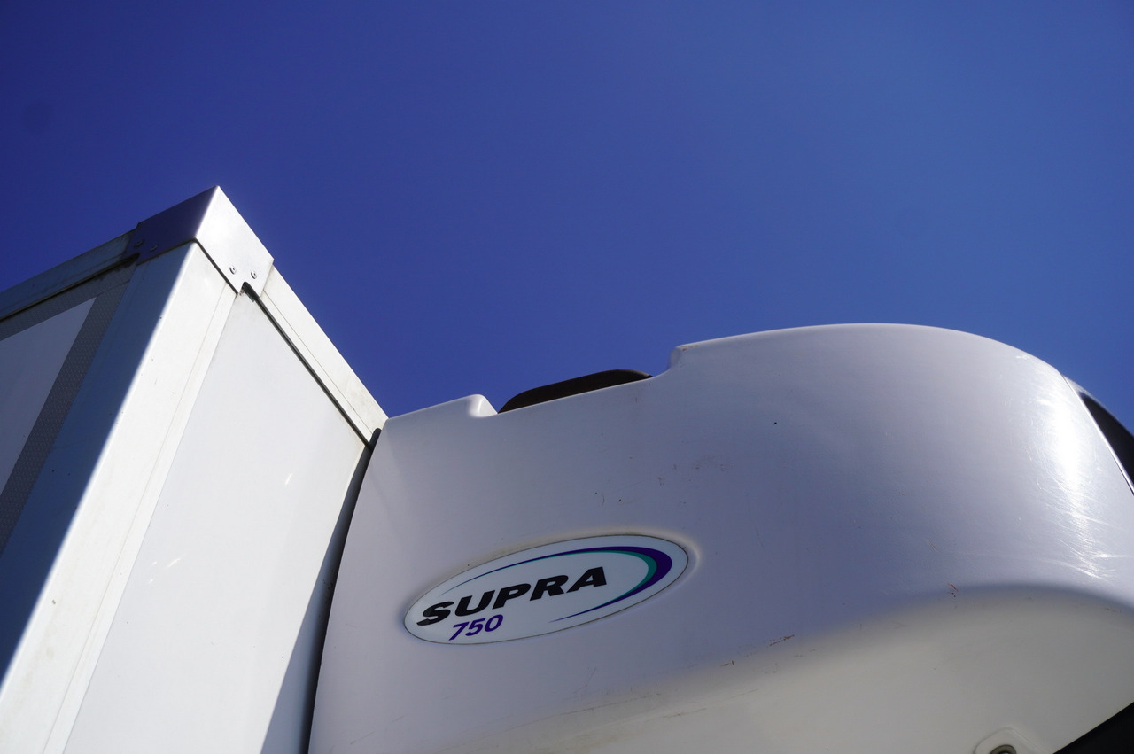 Камион ладилник IVECO Eurocargo 100-190 4x2 E6 / Refrigerator / Dhollandia 1.5 T: слика 11