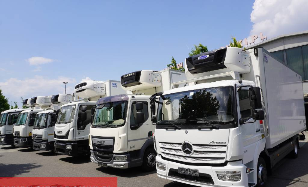 Камион ладилник RENAULT D19 285 HP E6 Cold storage/ ATP/FNA / 22 Pallets / BITEMPERATURE: слика 24
